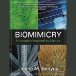 Biomimicry