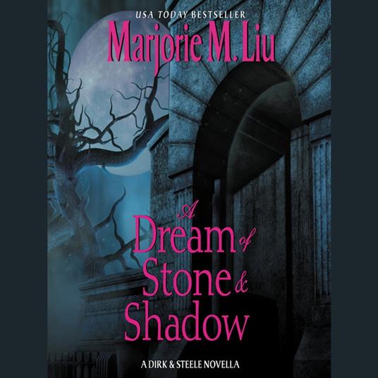 A Dream of Stone & Shadow