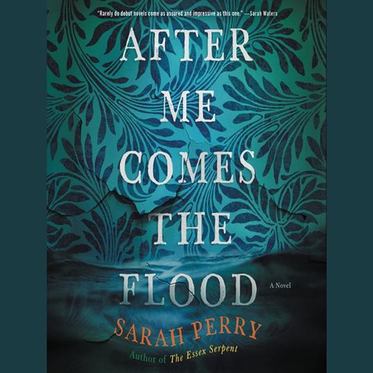 After Me Comes the Flood