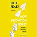 How Innovation Works