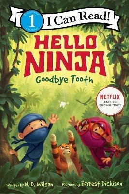 Hello, Ninja. Goodbye, Tooth! - N. D. Wilson - cover