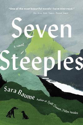 Seven Steeples - Sara Baume - cover