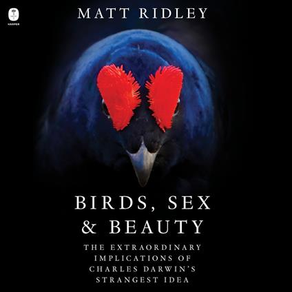 Birds, Sex and Beauty