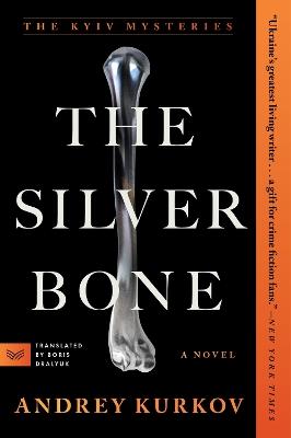 The Silver Bone - Andrey Kurkov - cover