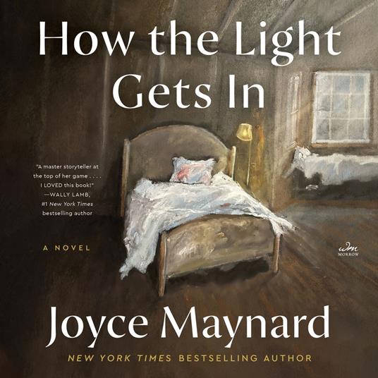 How the Light Gets In