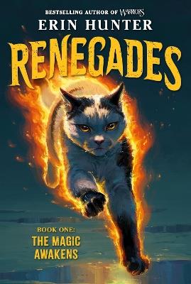 Renegades #1: The Magic Awakens - Erin Hunter - cover