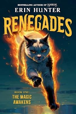 Renegades #1: The Magic Awakens - Erin Hunter - cover