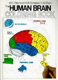 The Human Brain Coloring Book: A Coloring Book - Marian C. Diamond,Arnold B Scheibel - cover