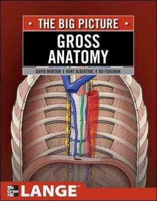 Gross anatomy: the big picture - David A. Morton,K. Bo Foreman,Kurt H. Albertine - copertina