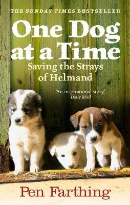 One Dog at a Time: An inspiring true story of saving the strays of Afghanistan - Pen Farthing - cover