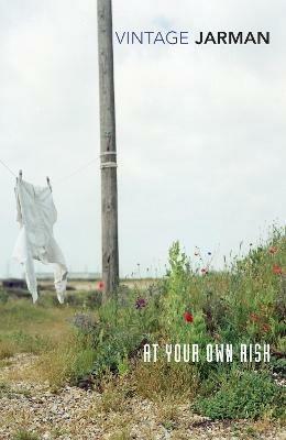 At Your Own Risk: A Saint's Testament - Derek Jarman - cover