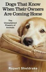 Dogs That Know When Their Owners Are Coming Home: And Other Unexplained Powers of Animals