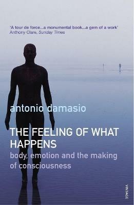 The Feeling Of What Happens - Antonio Damasio - cover