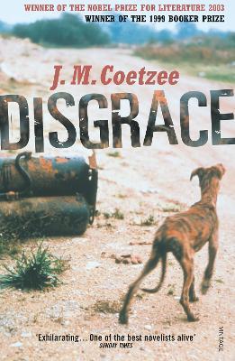Disgrace: A BBC Radio 4 Good Read - J.M. Coetzee - cover
