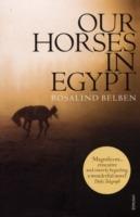 Our Horses in Egypt