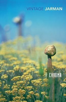 Chroma: A Book of Colour - June '93 - Derek Jarman - cover