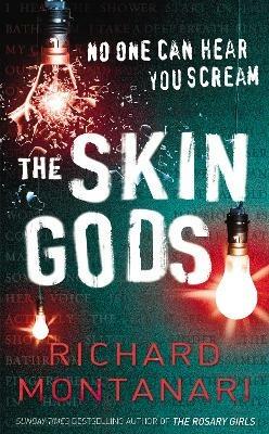 The Skin Gods: (Byrne & Balzano 2) - Richard Montanari - cover