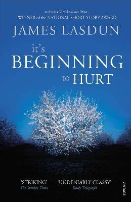 It's Beginning To Hurt - James Lasdun - cover