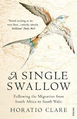 A Single Swallow: Following An Epic Journey From South Africa To South Wales - Horatio Clare - cover