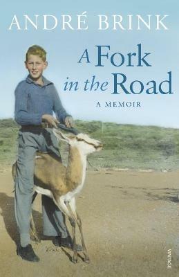 A Fork in the Road - André Brink - cover