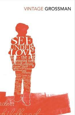 See Under Love - David Grossman - cover