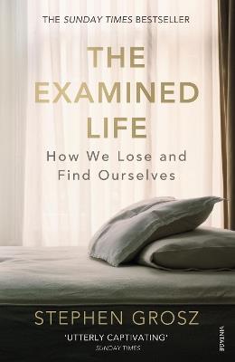 The Examined Life: How We Lose and Find Ourselves - Stephen Grosz - cover