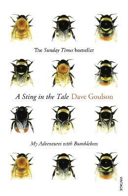 A Sting in the Tale: My Adventures with Bumblebees - Dave Goulson - cover