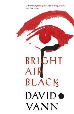 Bright Air Black - David Vann - cover