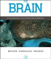 The Brain: An Introduction to Functional Neuroanatomy - Charles Watson,Matthew Kirkcaldie,George Paxinos - cover
