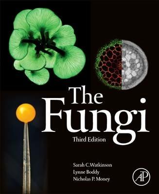 The Fungi - Sarah C. Watkinson,Lynne Boddy,Nicholas Money - cover