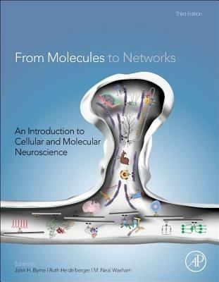 From Molecules to Networks: An Introduction to Cellular and Molecular Neuroscience - cover