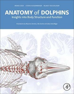 Anatomy of Dolphins: Insights into Body Structure and Function - Bruno Cozzi,Stefan Huggenberger,Helmut A Oelschlager - cover