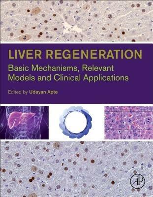 Liver Regeneration: Basic Mechanisms, Relevant Models and Clinical Applications - cover
