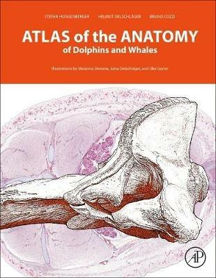 Atlas of the Anatomy of Dolphins and Whales - Stefan Huggenberger,Helmut A Oelschlager,Bruno Cozzi - cover