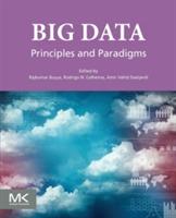 Big Data: Principles and Paradigms - cover
