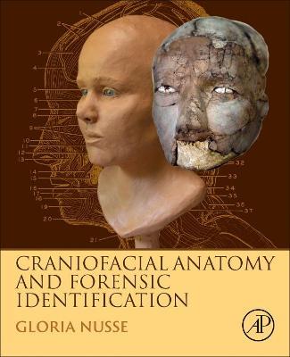 Craniofacial Anatomy and Forensic Identification - Gloria Nusse - cover