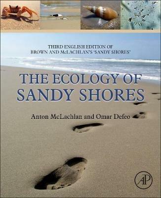 The Ecology of Sandy Shores - Anton McLachlan,Omar Defeo - cover