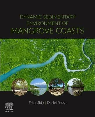 Dynamic Sedimentary Environments of Mangrove Coasts - cover