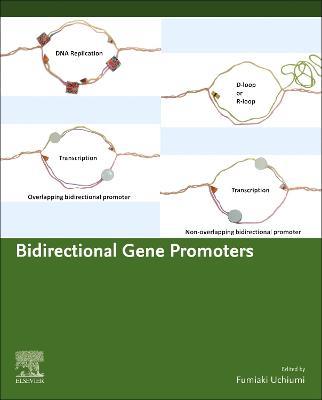 Bidirectional Gene Promoters: Transcription system and chromosomal structure - Fumiaki Uchiumi - cover