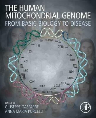 The Human Mitochondrial Genome: From Basic Biology to Disease - cover