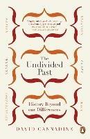 The Undivided Past: History Beyond Our Differences