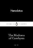 The Madness of Cambyses - Herodotus - cover