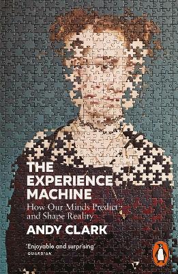 The Experience Machine: How Our Minds Predict and Shape Reality - Andy Clark - cover