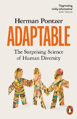Adaptable: The Surprising Science of Human Diversity - Herman Pontzer - cover