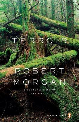 Terroir - Robert Morgan - cover