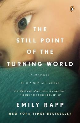 The Still Point of the Turning World - Emily Rapp Black - cover