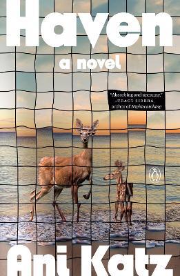 Haven: A Novel - Ani Katz - cover