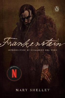 Frankenstein (Netflix Tie-In) - Mary Shelley - cover