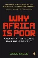 Why Africa is poor - Greg Mills - cover