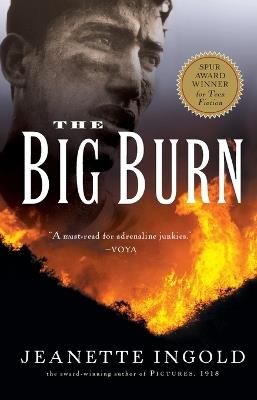 The Big Burn - Jeanette Ingold - cover